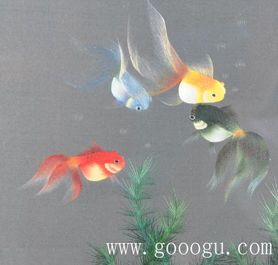 金魚自由自在的游動、展現出形態優美的舞姿!